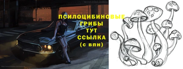 2c-b Михайловка