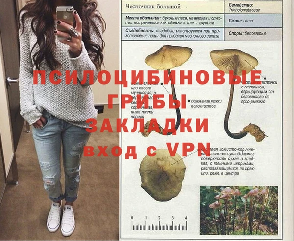 каннабис Михайловск