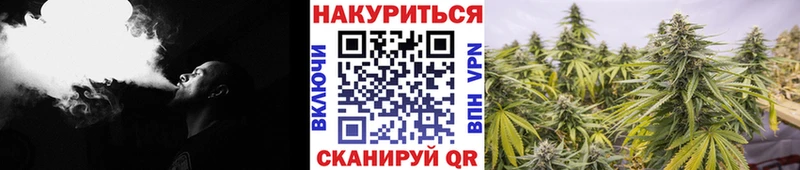 Купить закладки  Канаш  Каннабис MAZAR 
